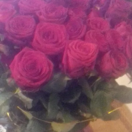 Appartement Eko Panorama Iv *