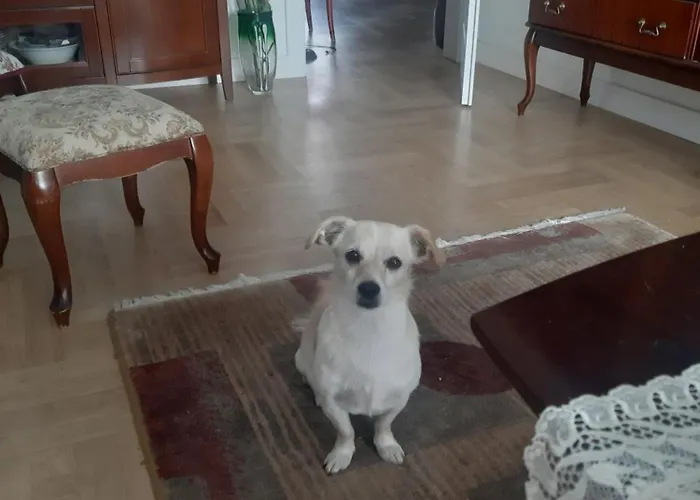 Apartman Eko Panorama Iv *