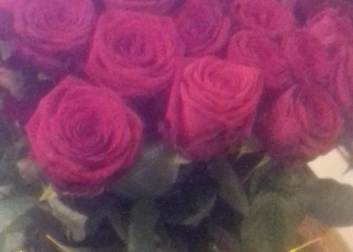 Apartment Eko Panorama Iv *